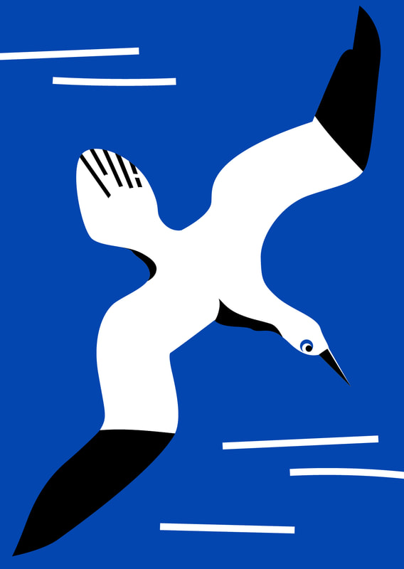 graphic illustration of a seabird on the wing by Alex Higlett