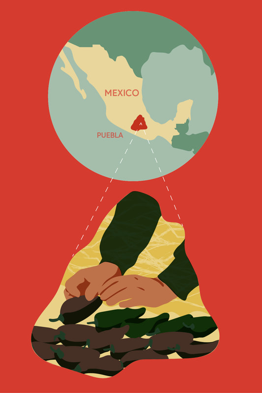 illustration of hands drying mexican chilli with a map of mexico showing the region by alex higlett 