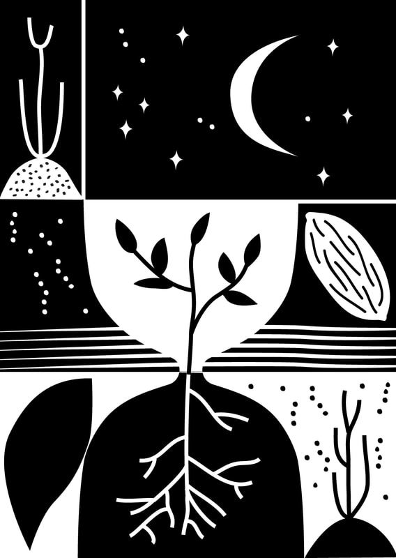 black and white illustration of an hourglass, seeds, the moon and stars and root growth by alex higlett