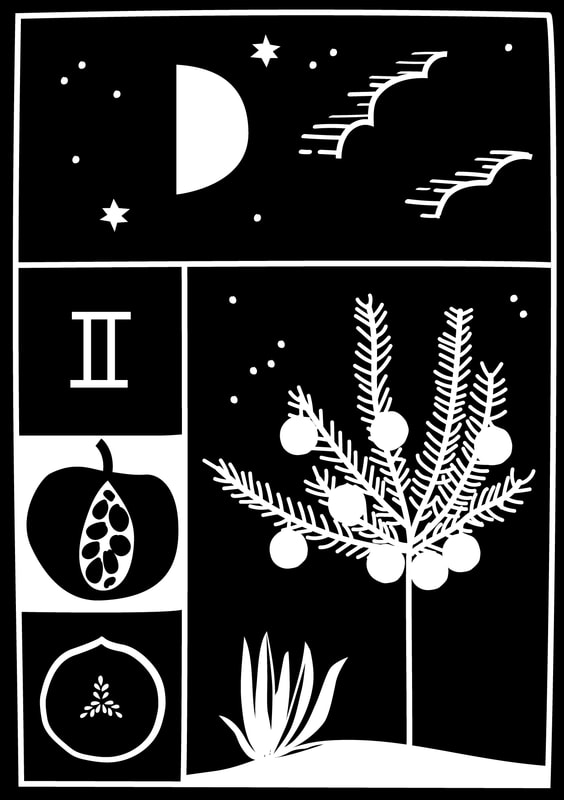 black and white illustration of half moon and stars, figs, seeds and fruit and a fruiting palm by alex higlett